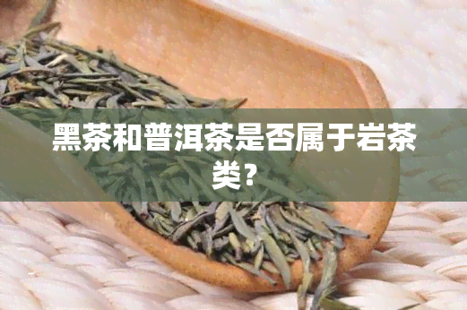 黑茶和普洱茶是否属于岩茶类？