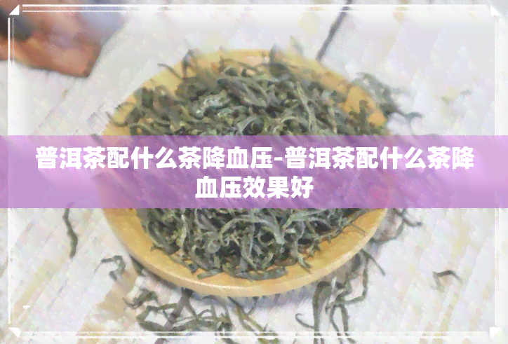 普洱茶配什么茶降血压-普洱茶配什么茶降血压效果好