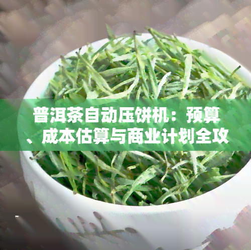 普洱茶自动压饼机：预算、成本估算与商业计划全攻略