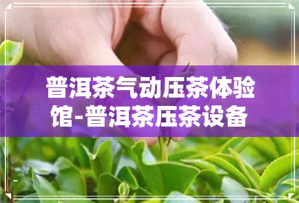 普洱茶气动压茶体验馆-普洱茶压茶设备