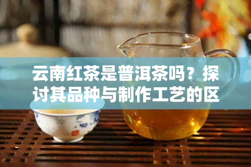 云南红茶是普洱茶吗？探讨其品种与制作工艺的区别