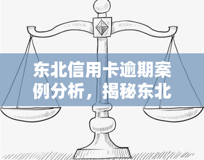 东北信用卡逾期案例分析，揭秘东北地区信用卡逾期问题：深度案例分析与解决方案