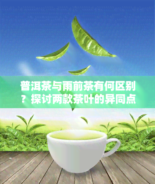 普洱茶与雨前茶有何区别？探讨两款茶叶的异同点