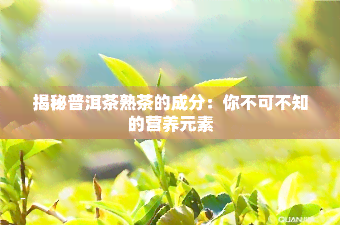 揭秘普洱茶熟茶的成分：你不可不知的营养元素