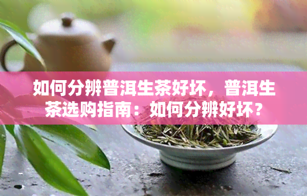 如何分辨普洱生茶好坏，普洱生茶选购指南：如何分辨好坏？