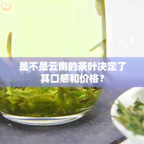 是不是云南的茶叶决定了其口感和价格？