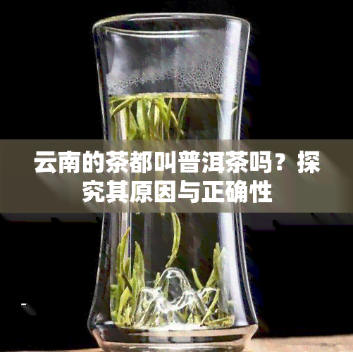 云南的茶都叫普洱茶吗？探究其原因与正确性