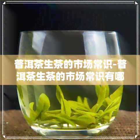 普洱茶生茶的市场常识-普洱茶生茶的市场常识有哪些