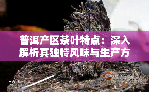 普洱产区茶叶特点：深入解析其独特风味与生产方式