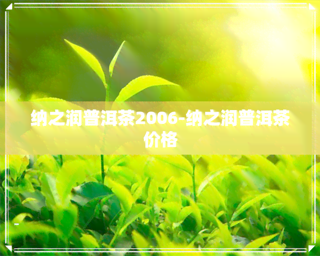 纳之润普洱茶2006-纳之润普洱茶价格