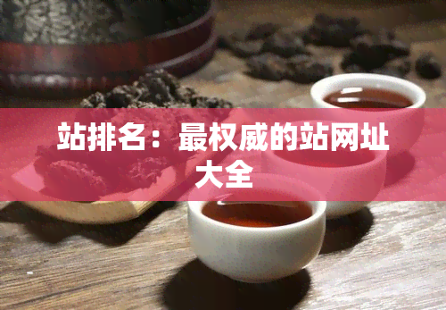 站排名：最权威的站网址大全