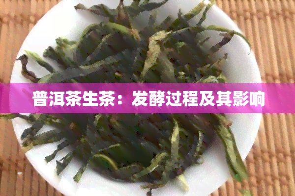 普洱茶生茶：发酵过程及其影响