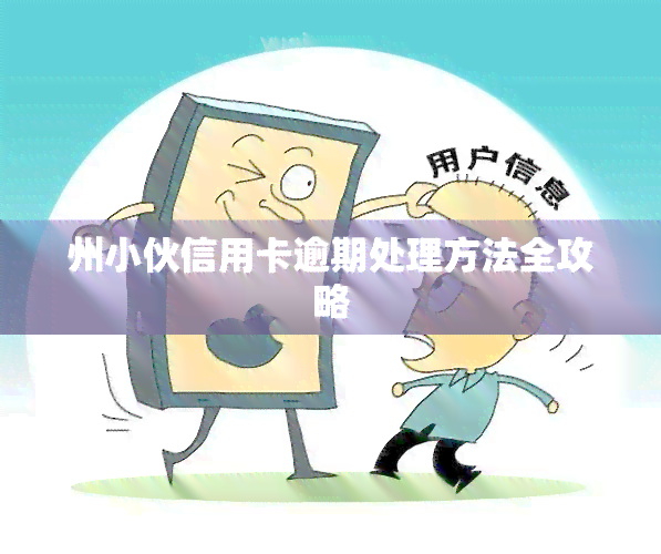 州小伙信用卡逾期处理方法全攻略