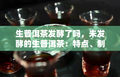 生普洱茶发酵了吗，未发酵的生普洱茶：特点、制作和品尝方法