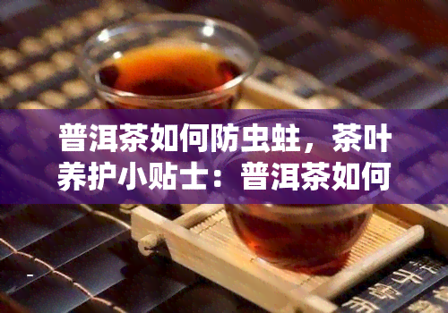 普洱茶如何防虫蛀，茶叶养护小贴士：普洱茶如何有效防虫蛀？