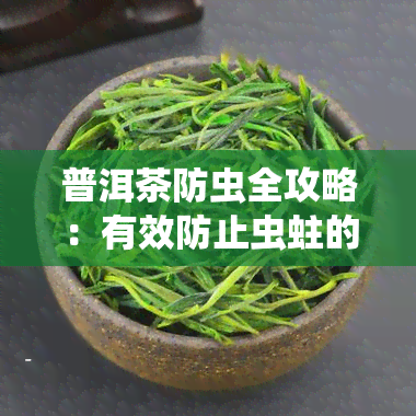 普洱茶防虫全攻略：有效防止虫蛀的方法