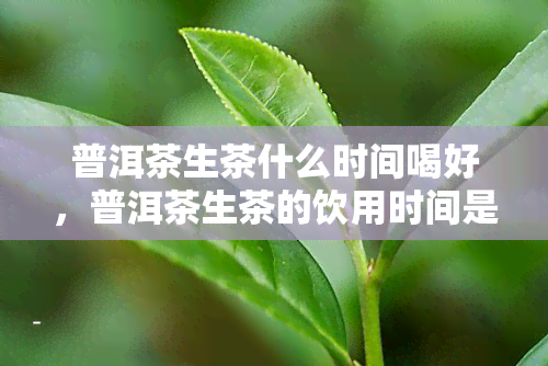 普洱茶生茶什么时间喝好，普洱茶生茶的饮用时间是什么？