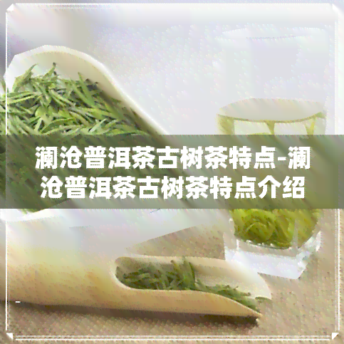 澜沧普洱茶古树茶特点-澜沧普洱茶古树茶特点介绍