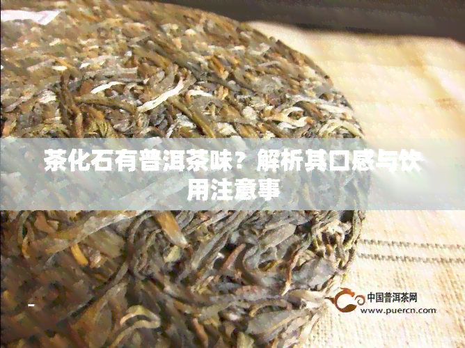 茶化石有普洱茶味？解析其口感与饮用注意事