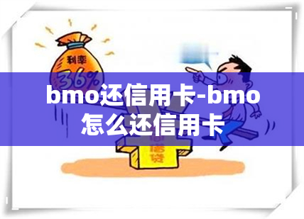 bmo还信用卡-bmo怎么还信用卡