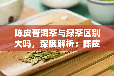 陈皮普洱茶与绿茶区别大吗，深度解析：陈皮普洱茶与绿茶的五大区别