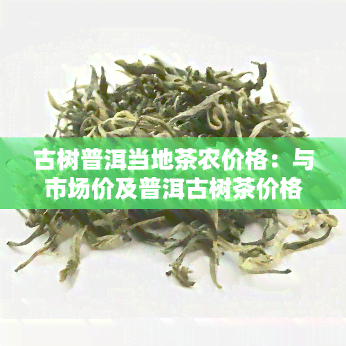 古树普洱当地茶农价格：与市场价及普洱古树茶价格的对比分析