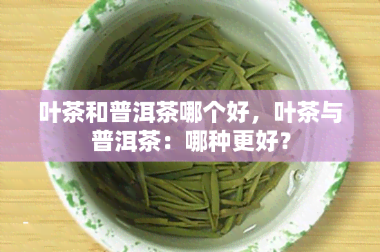 叶茶和普洱茶哪个好，叶茶与普洱茶：哪种更好？