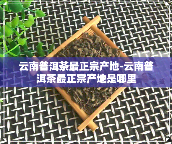 云南普洱茶最正宗产地-云南普洱茶最正宗产地是哪里