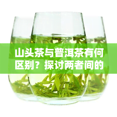 山头茶与普洱茶有何区别？探讨两者间的异同