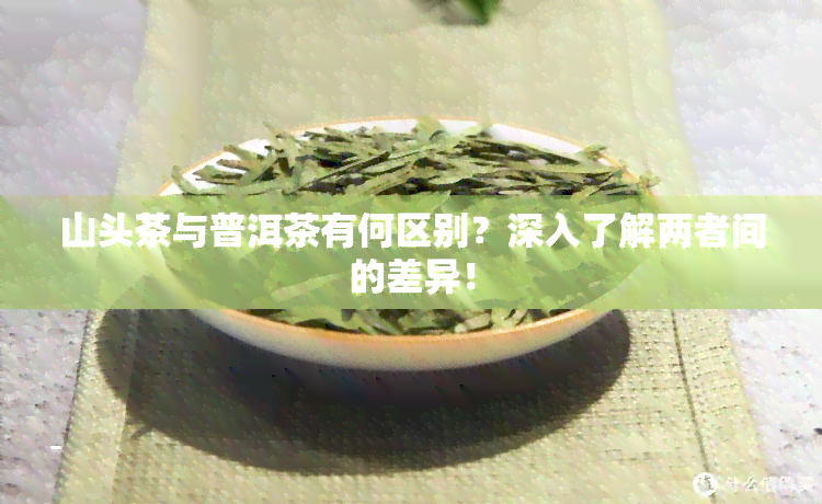 山头茶与普洱茶有何区别？深入了解两者间的差异！