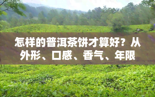 怎样的普洱茶饼才算好？从外形、口感、香气、年限等方面全面解析，教你辨别好茶与值得收藏的普洱茶饼