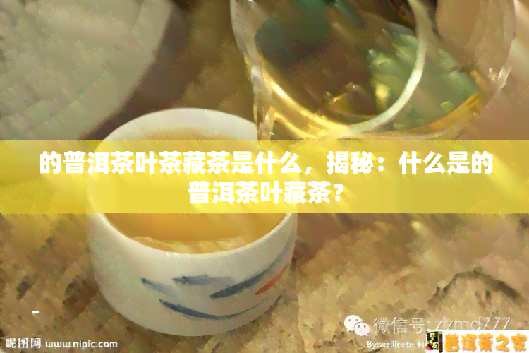 的普洱茶叶茶藏茶是什么，揭秘：什么是的普洱茶叶藏茶？