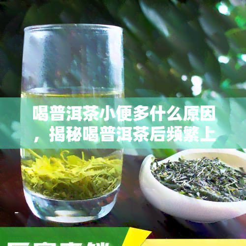 喝普洱茶小便多什么原因，揭秘喝普洱茶后频繁上厕所的原因