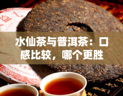 水仙茶与普洱茶：口感比较，哪个更胜一筹？