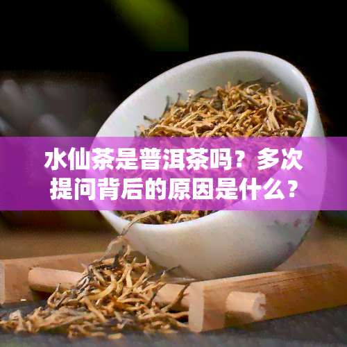 水仙茶是普洱茶吗？多次提问背后的原因是什么？