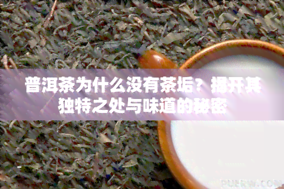 普洱茶为什么没有茶垢？揭开其独特之处与味道的秘密