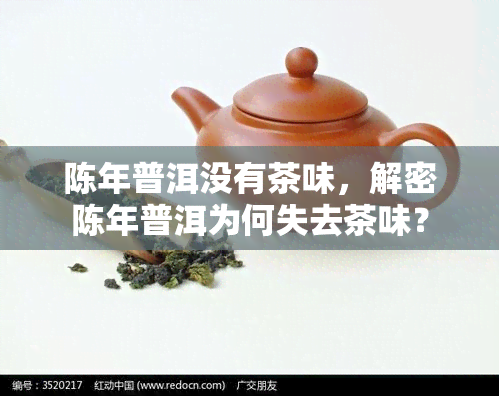 陈年普洱没有茶味，解密陈年普洱为何失去茶味？