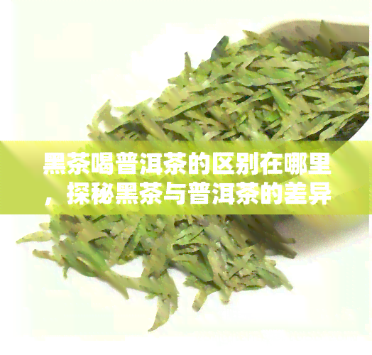 黑茶喝普洱茶的区别在哪里，探秘黑茶与普洱茶的差异之处