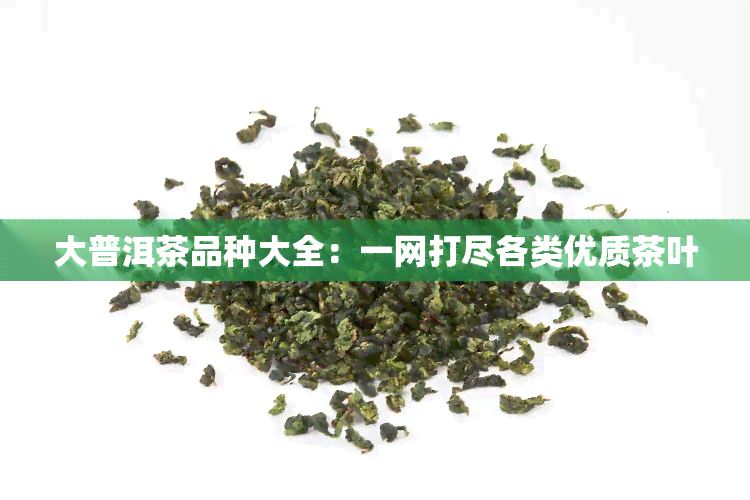 大普洱茶品种大全：一网打尽各类优质茶叶