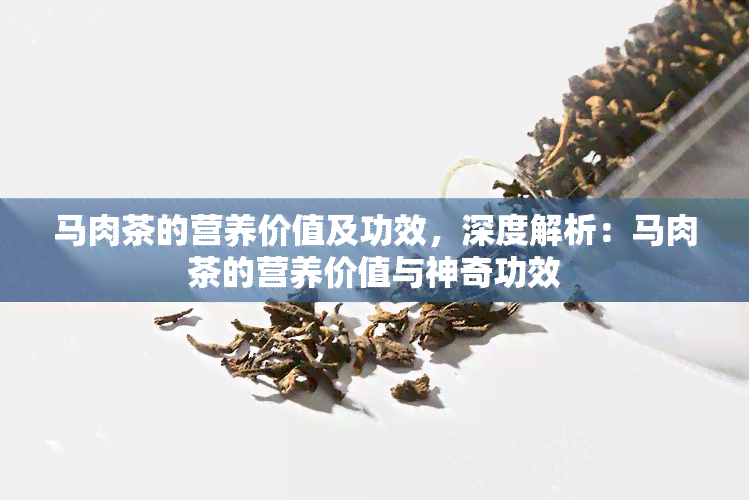 马肉茶的营养价值及功效，深度解析：马肉茶的营养价值与神奇功效