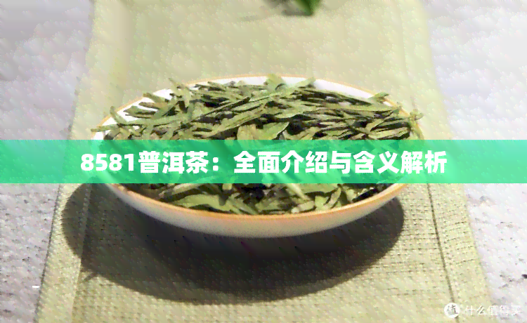 8581普洱茶：全面介绍与含义解析