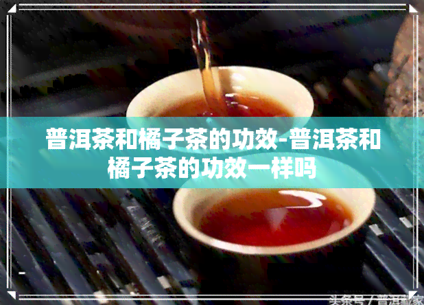 普洱茶和橘子茶的功效-普洱茶和橘子茶的功效一样吗