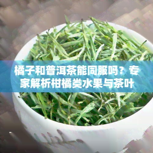 橘子和普洱茶能同服吗？专家解析柑橘类水果与茶叶的搭配禁忌