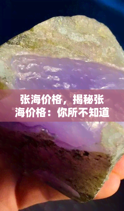 张海价格，揭秘张海价格：你所不知道的真相