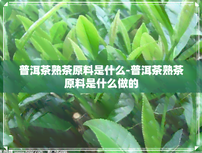 普洱茶熟茶原料是什么-普洱茶熟茶原料是什么做的