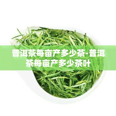 普洱茶每亩产多少茶-普洱茶每亩产多少茶叶