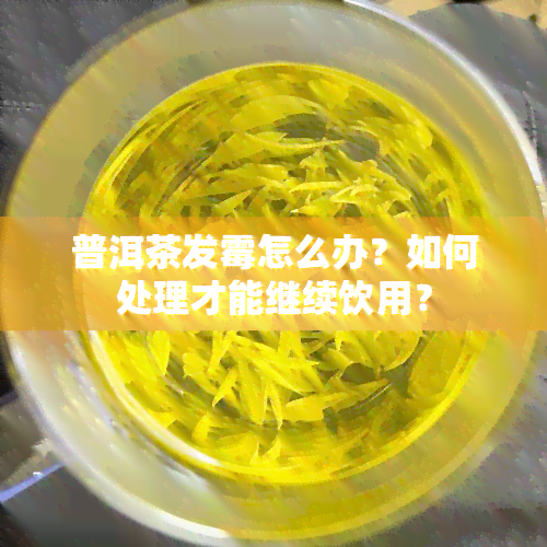 普洱茶发霉怎么办？如何处理才能继续饮用？