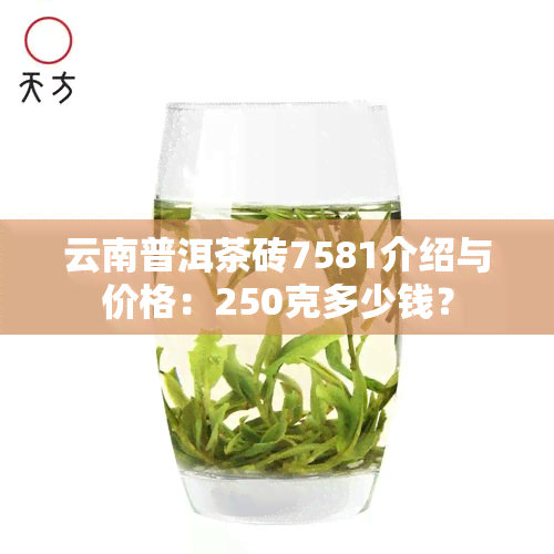 云南普洱茶砖7581介绍与价格：250克多少钱？