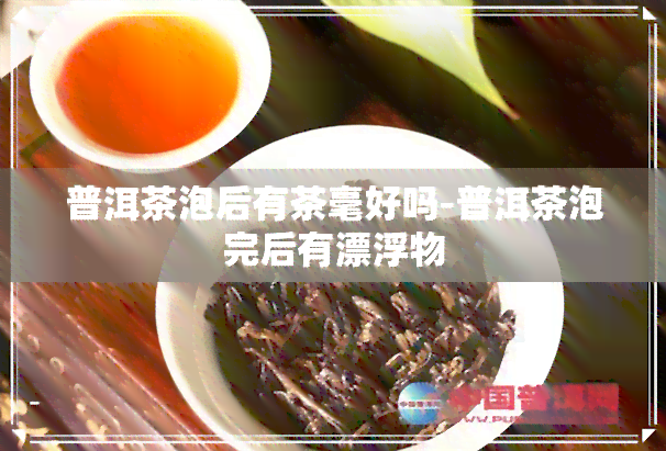 普洱茶泡后有茶毫好吗-普洱茶泡完后有漂浮物