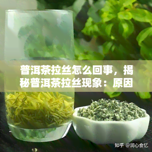 普洱茶拉丝怎么回事，揭秘普洱茶拉丝现象：原因解析与品鉴技巧